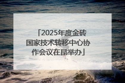 2025年度金砖国家技术转移中心协作会议在昆举办