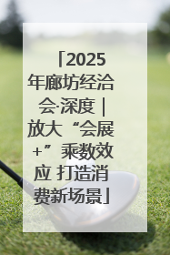 2025年廊坊经洽会·深度｜放大“会展+”乘数效应 打造消费新场景