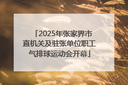 2025年张家界市直机关及驻张单位职工气排球运动会开幕