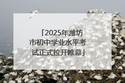 2025年潍坊市初中学业水平考试正式拉开帷幕