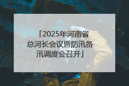 2025年河南省总河长会议暨防汛备汛调度会召开