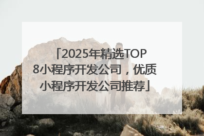 2025年精选TOP8小程序开发公司，优质小程序开发公司推荐