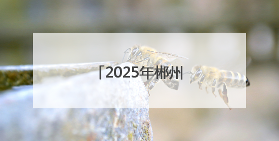 2025年郴州市足球协会郴超、郴甲联赛开幕