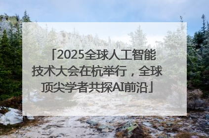 2025全球人工智能技术大会在杭举行，全球顶尖学者共探AI前沿