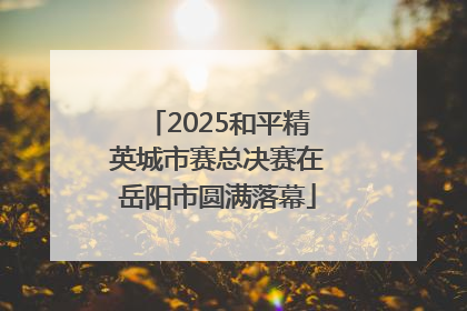 2025和平精英城市赛总决赛在岳阳市圆满落幕