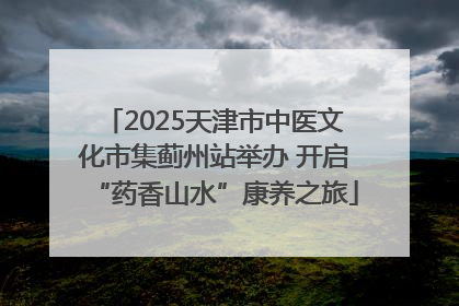 2025天津市中医文化市集蓟州站举办 开启“药香山水”康养之旅