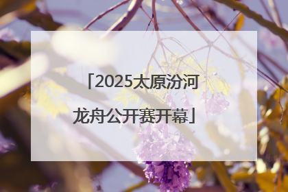 2025太原汾河龙舟公开赛开幕
