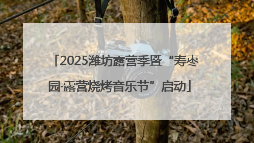 2025潍坊露营季暨“寿枣园·露营烧烤音乐节”启动