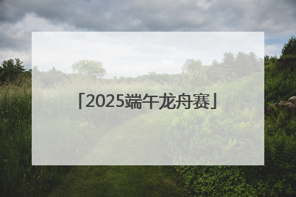 2025端午龙舟赛