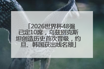 2026世界杯48强已定10席，乌兹别克斯坦创造历史首次晋级，约旦、韩国获出线名额