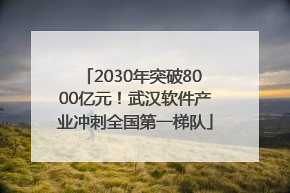 2030年突破8000亿元！武汉软件产业冲刺全国第一梯队