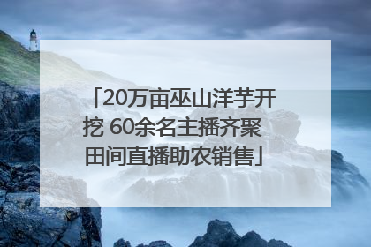 20万亩巫山洋芋开挖 60余名主播齐聚田间直播助农销售