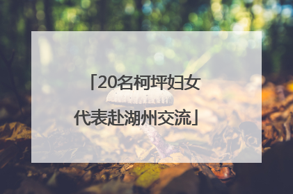 20名柯坪妇女代表赴湖州交流