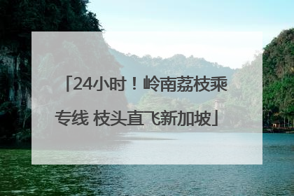 24小时！岭南荔枝乘专线 枝头直飞新加坡