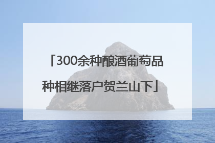 300余种酿酒葡萄品种相继落户贺兰山下