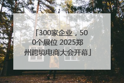 300家企业，500个展位 2025郑州跨境电商大会开幕