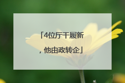 4位厅干履新，他由政转企