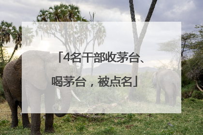 4名干部收茅台、喝茅台，被点名
