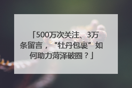 500万次关注、3万条留言，“牡丹包裹”如何助力菏泽破圈？