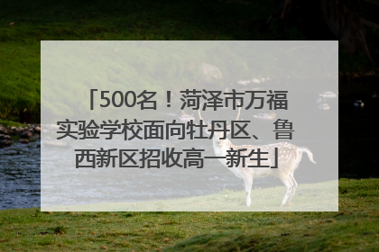 500名！菏泽市万福实验学校面向牡丹区、鲁西新区招收高一新生