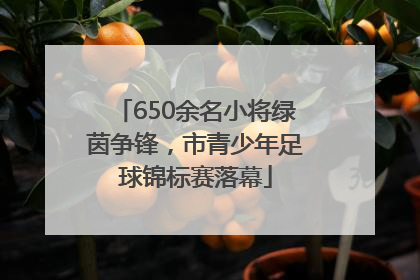 650余名小将绿茵争锋，市青少年足球锦标赛落幕