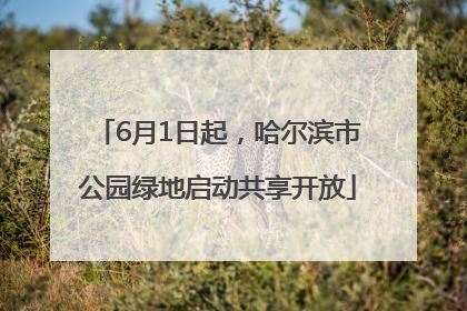 6月1日起，哈尔滨市公园绿地启动共享开放