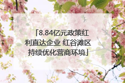 8.84亿元政策红利直达企业 红谷滩区持续优化营商环境