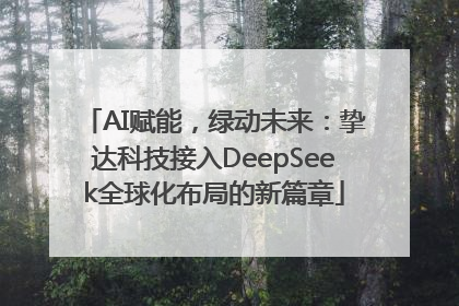 AI赋能，绿动未来：挚达科技接入DeepSeek全球化布局的新篇章