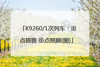 K9260/1次列车：重点旅客 重点照顾(图)