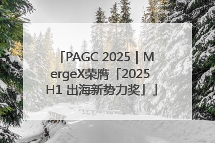 PAGC 2025｜MergeX荣膺「2025 H1 出海新势力奖」